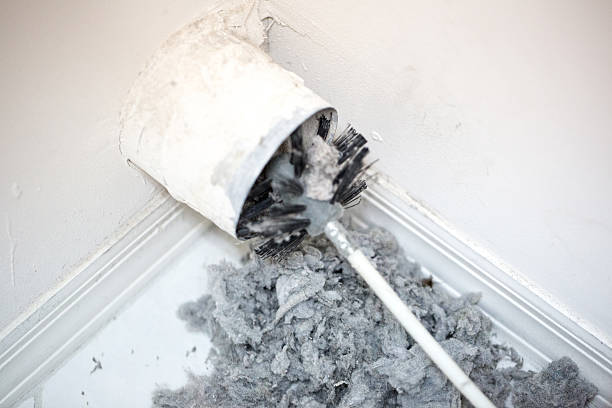Best Ductwork Cleaning Services  in Windcrest, TX
